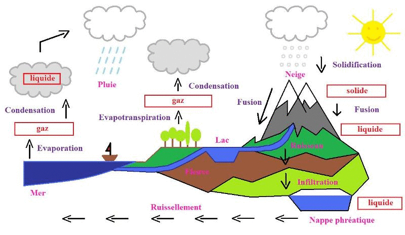 Les Changements D'état De L'eau 6ème Exercices